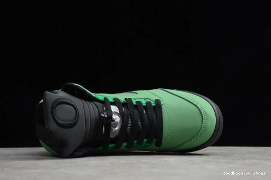 5 RETRO JORDAN CK6631-307 OREGON SE CK6631-307 AIR 0403